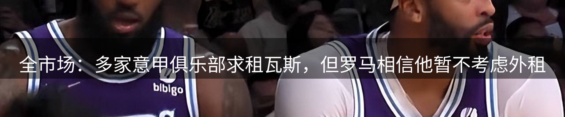 网站资讯