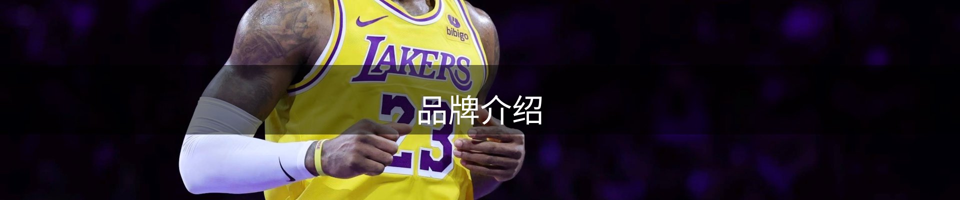 品牌介绍