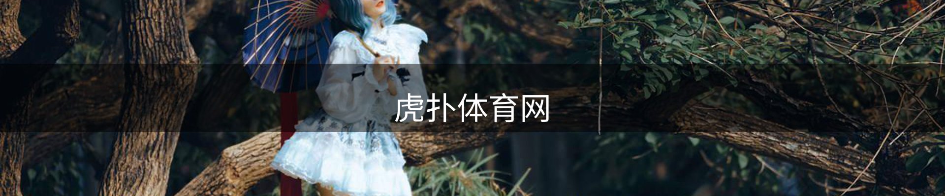 网站资讯